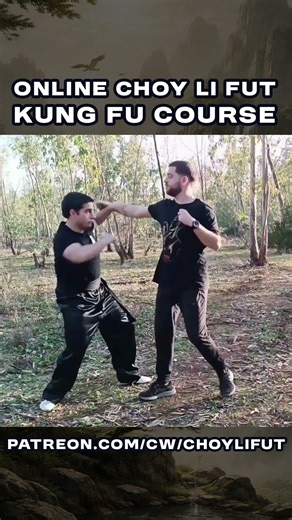 More Choy Li Fut Kung Fu applications #kungfu #martialarts #choyleefut