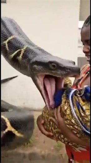 Save from the python #trending #viral #viralvideo #shorts