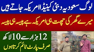 25 reactions · 17 shares | How to start java finch Love birds | Raza Ibrahim | Facebook