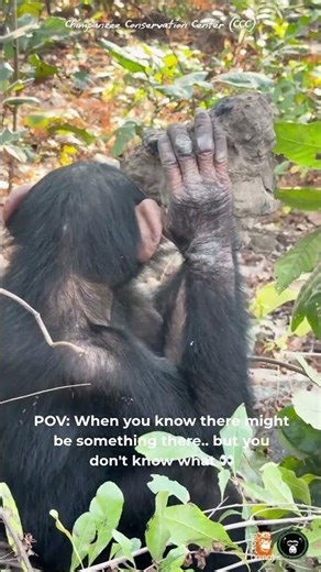 What do you think Doura is looking for?