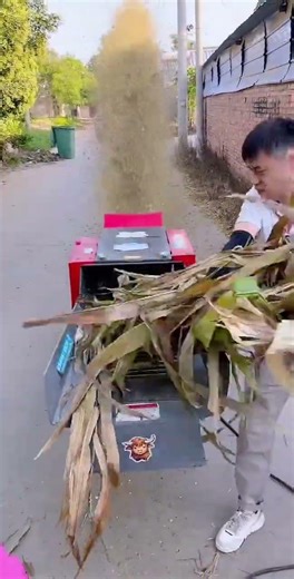 Ultimate Guide to Hay Cutting & Silk Kneading Machine, Plus Lawn Mower Tips