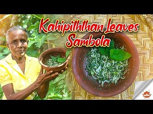 kahipiththan leaves sambola | කැහිපිත්තන් කොළ සම්බෝලය | Cuisine of sri lanka