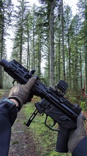 The Based Shooter on Instagram: "Die Hard kind of day.. Zenith ZF5-P Parts list: @zenithfirearms zf5-p @silencerco spectre 9 titanium suppressor @midwestindustries mp5k suppressor handguard @emissarydevelopment handbrake @utgpro mp5 claw mount @hkparts mag clamp @midwestindustries mp5k 1913 end plate adapter @a3industries 1913 folding brace @gideonoptics mediator Red dot @hagadefense mp5 magwell #callofdutyblackops7 #mp5kpdw"