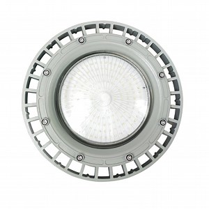 [Hot Item] Atex Anti Explosion Proof Flood Light IP66 Zone 1/2/21/22 Explosion-Proof LED Lights