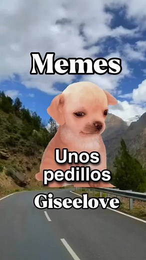 Descarga stickers de memes en la app Top Sticker Maker for Whatsapp