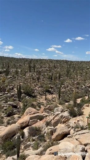 Un viaje completo por Baja California! Te menciono algunos puntos que debes de conocer si visitas la Baja! #bajacalifornia #mexico #travel #vacations #tijuana #sandiego #ensenada #rosarito #mexicali #tecate #sanquintin #sanfelipe | Península Baja California