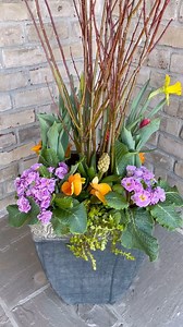 3.8K views · 64 reactions | Spring planter recipe  Pussywillows Daffodils Tulips Primrose Creeping Jenny Hyacinth Pansies | the.wreath.coach | Facebook