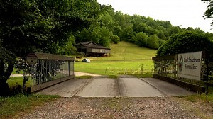 Farm hosts 'Starlight Night' fall festival to boost mission of helping people with autism