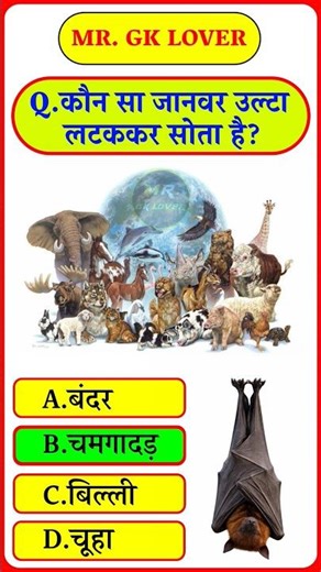 GK Shorts || Science Facts || GK Question || #shorts #facts #gk