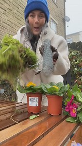 No plant pot? No problem! 🌸🐣 This DIY chicken wire planter is the cutest & easiest way to add spring vibes to your space. Just roll, stuff with moss (or basket liners!), and add your fav spring blooms! Keep busy doing good things, Clare 🪻🌷🌼 #springdecor #diyplanter #chickenwirecrafts #upcycleddecor #easycrafts #affordabledecor #springflowers #homedecor #craftideas | Clare Hooper