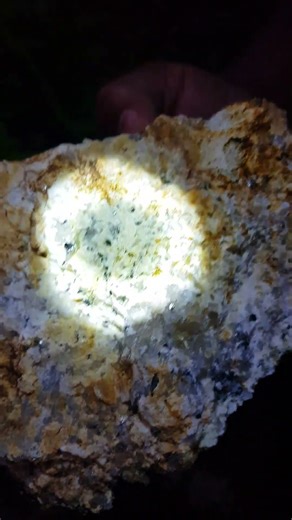 The Most INSANE Night Gem Hunt You’ll Ever See! 🌙🔥