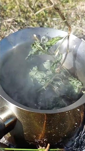 Making Tea in the Wild: A Calm Nature Escape