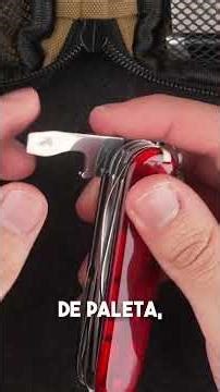 ¿Que cosas usar a Diario?