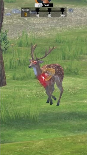 I Tested The Best Hunting Games