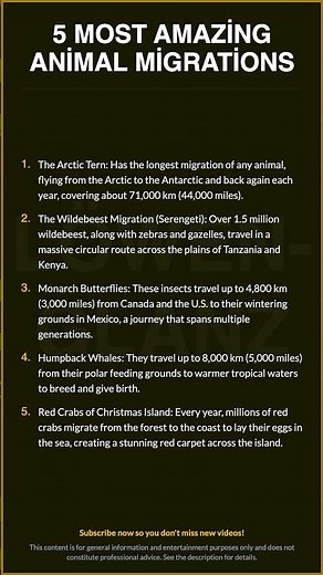5 Most Amazing Animal Migrations\n\nThe Arctic Tern: Has the longest mig...