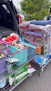 It’s costco time again!!! 🛒🥹💸 #Costco #CostcoHaul #Restock #Refill #organizedhome #cleanhome #clean #organized #cleaningmotivation #cleaningtips #asmr #momsofinstagram #blackmomsofinstagram #sahm #refill #groceryhaul #scrubdaddy | Operation Niki Official