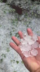 Ping-pong ball size hail moved through Northern Waters Casino Resort in Watersmeet between 3:30 and 3:45 CT this afternoon. More widespread severe weather is possible late Friday night and early Saturday morning. FULL FORECAST: https://www.uppermichiganssource.com/2025/06/19/first-alert-severe-weather-risk-increases-late-friday/ | TV6 & FOX UP