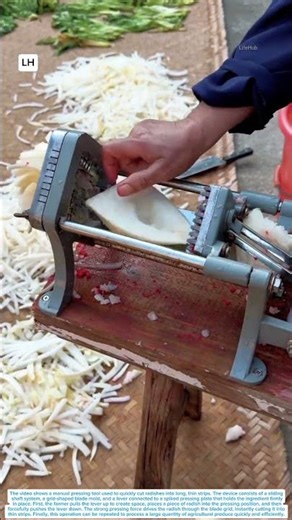 Manual Lever Press That Quickly Turns Radishes Into Thin Strips