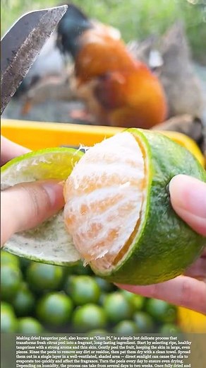 Homemade Dried Tangerine Peel: From Fresh Fruit to Fragrant Chen Pi #farmingtips #farming