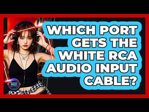 Which Port Gets The White RCA Audio Input Cable?