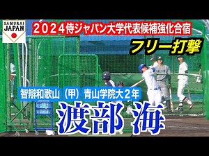 【２０２６ドラフト候補】渡部 海（智辯和歌山＜甲＞青山学院大２年）フリー打撃！【２０２４侍ジャパン大学代表候補強化合宿＠坊ちゃんスタジアム】