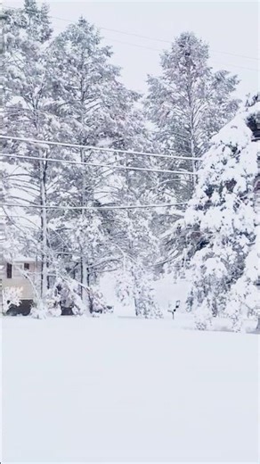 #snow ❄️☃️🇺🇸#winterwonderland ☃️#winter ❄️☃️#cold 🥶