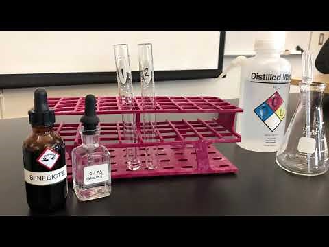 BI-112 Simple Sugar Test for Lab 2