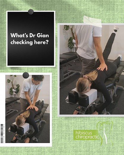 Did you know this test helps us understand how well your spine and pelvis are moving? Palpation and sacral testing are crucial because restricted motion here can affect posture, walking, and even your lower back stability. Curious how your spine is doing? Come see us for a check. Call/ Text 022 3914994 https://www.hibiscuschiropractic.co.nz/book-appointment #hibiscuschiropractic #orewa #silverdale #nz #chiro #PostureMatters | Hibiscus Chiropractic | Facebook
