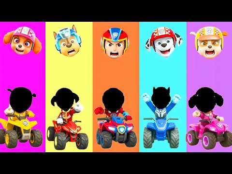 Wrong eyes👀 PAW Patrol NEW EPISODES Chase vs Skye vs Marshall 👀Wrong Heads