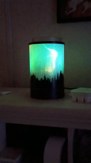 The only Northern lights I got to see tonight! | Jennifer MacDonald