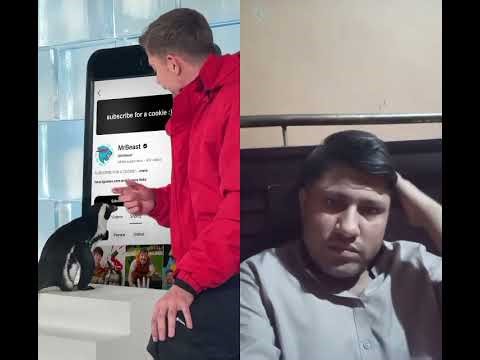 Can I Teach a Penguin To Subscribe?Answer The Call, Win $10,000#MrKnow-r5q