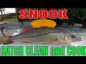 SNOOK Catch Clean and Cook