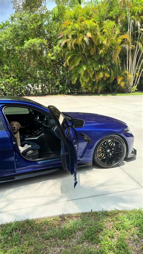 G80 or E92 and why? 👀 #bmw #g80 #m3 | BMW