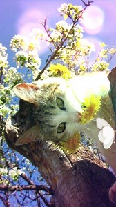 Beautiful Gifs. on Reels