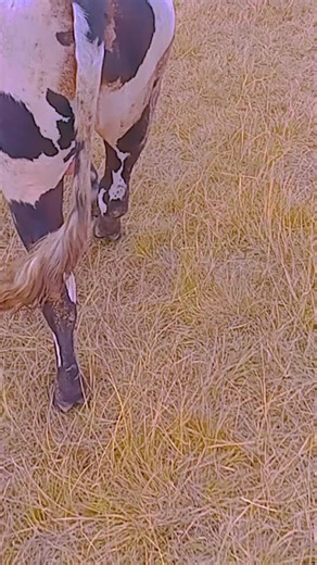 Abbas Arsee (@abbas.arsee)’s videos with original sound - Abdallaa muhammad