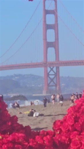 Romantic beach proposal idea what you think? #bakerbeach #romanticproposal #proposal #proposalideas