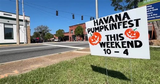 Havana neighbors get ready for thousands to attend 24th annual Pumpkinfest