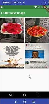 Flutter - Save image in SQLite