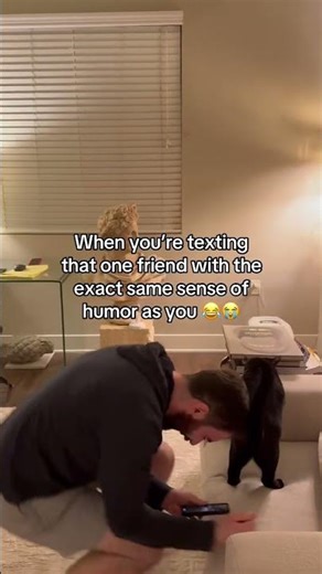 Did you know TextFree is a free calling and texting app available on Android and iOS? 😳