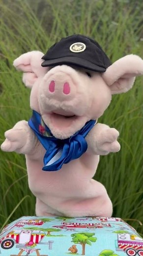 A Letter From Camp Song ( Performed by Pinkie The Pig )
