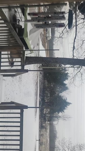 Ray (@cevon13)’s videos with original sound - .