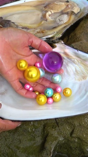 I heard that pearls here are better than anywhere else