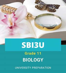 SBI3U: Biology, Grade 11, University Preparation | BrightMinds Online School