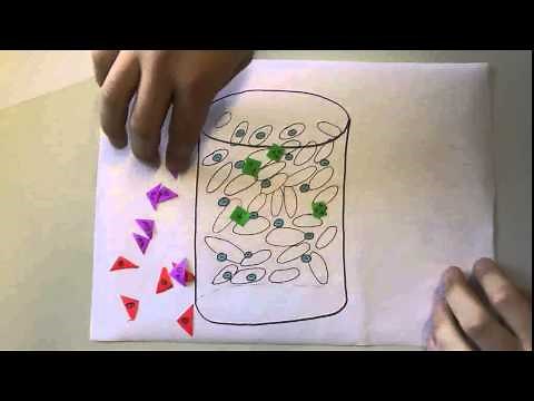 Prinzip der IonenaustauschChromatographie Gruppe 1