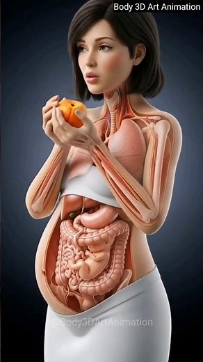 How Food Is Digested Inside the Human Body | Realistic 3D Animation