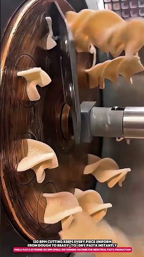 Fusilli Pasta Extruder 120 RPM Spiral Die Forming Machine for Industrial Pasta Production
