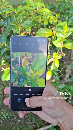 Samsung Galaxy S10: Worth it in 2026?