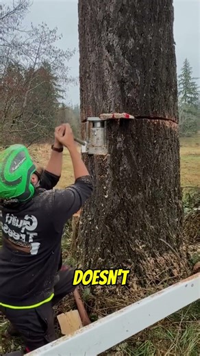 The Genius Tree Cutting TRICK 😳(@Guilty of treeson)