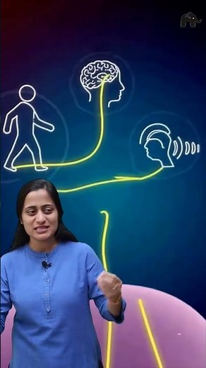 Respiration explained in simple words in less than a minute #sciencearoundus #biology