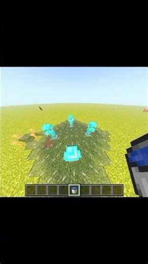 Minecraft’s Weirdest Logic? 💀💧#minecraftlogic #minecraft